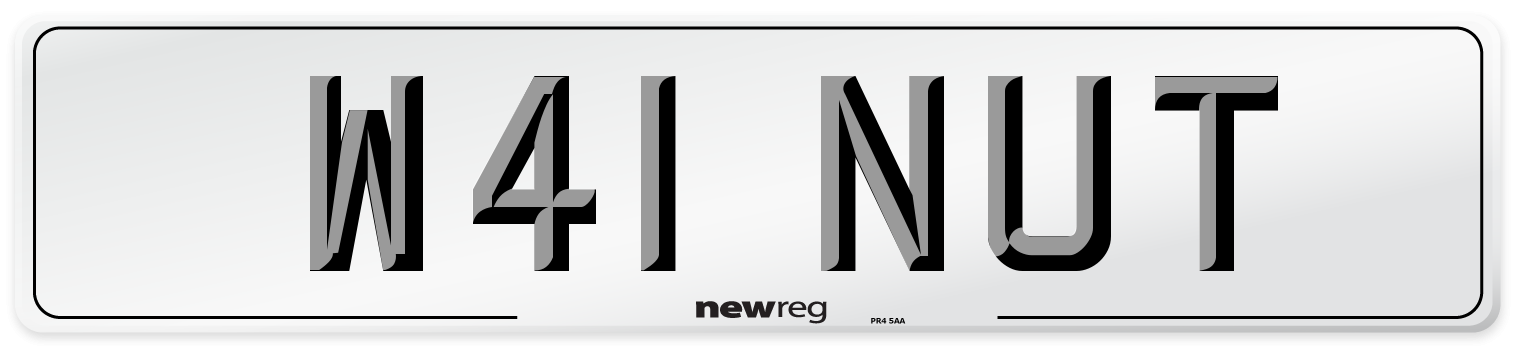 W41 NUT Number Plate from New Reg